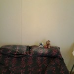 wpid-20120420_075159.jpg