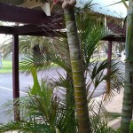 wpid-20120428_191556.jpg