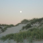 wpid-IMG_6417.jpg