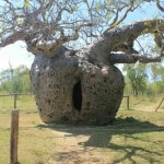 wpid-IMG_6459.jpg